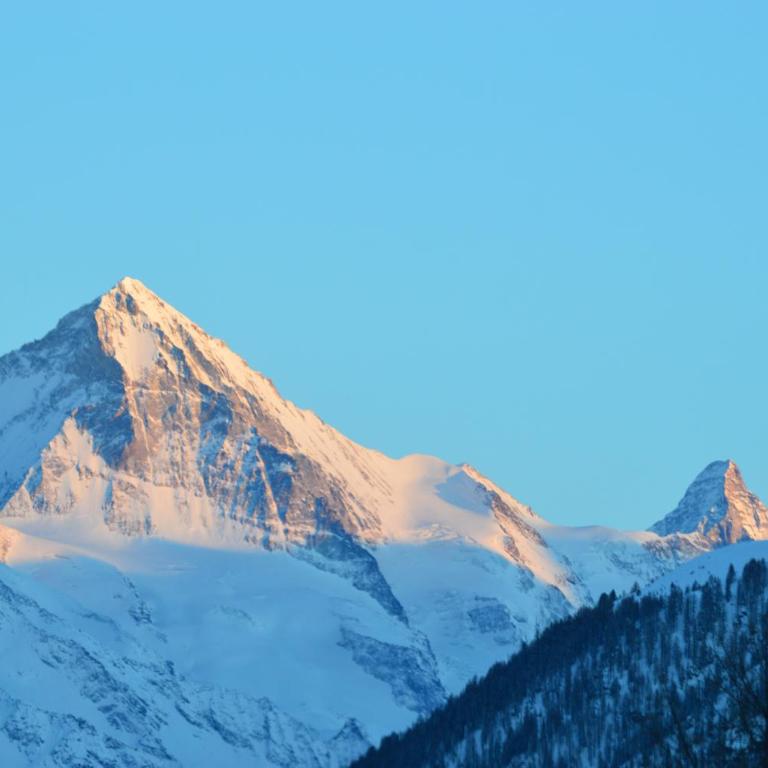 "Chalet le Dahlia - 4 Vallees" - Superior Chalet - 28
