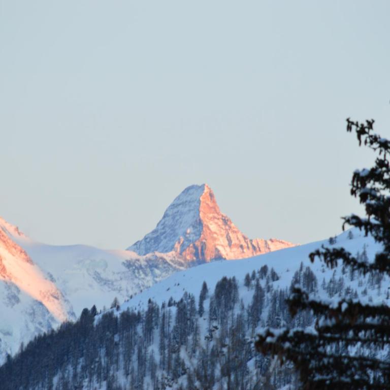 "Chalet le Dahlia - 4 Vallees" - Superior Chalet - 35