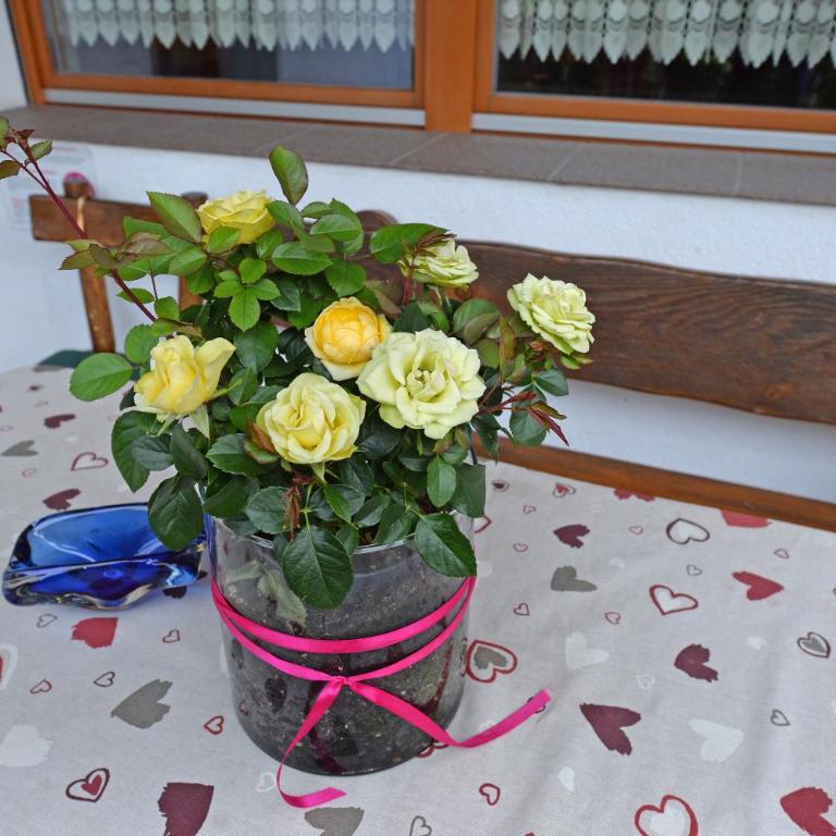Apartments Dolomie - Appartamento con 3 Camere da Letto - 36