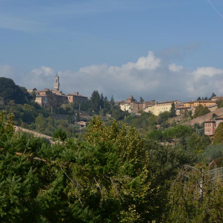 Vittori Apartment - Appartamento - 2