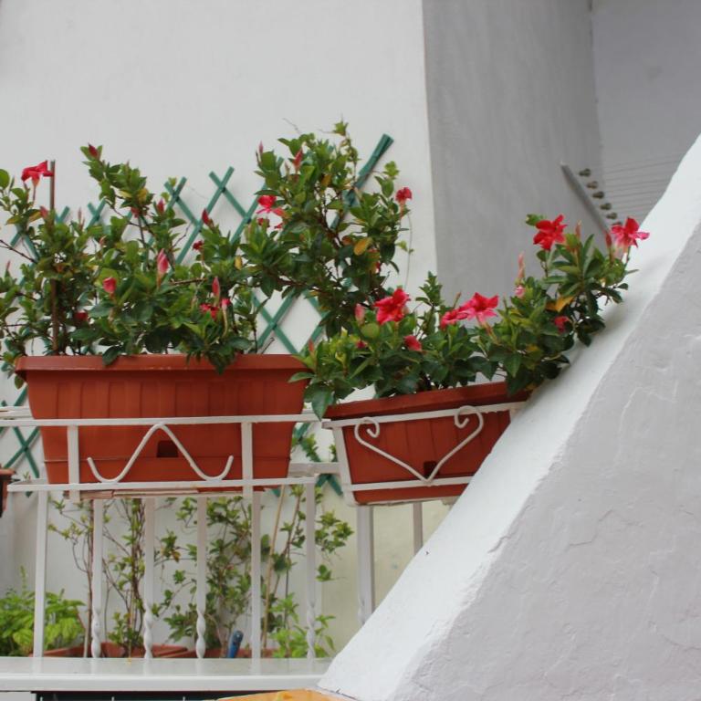 Casa Vacanze Nonna Raffa - Appartamento con 2 Camere da Letto - 6