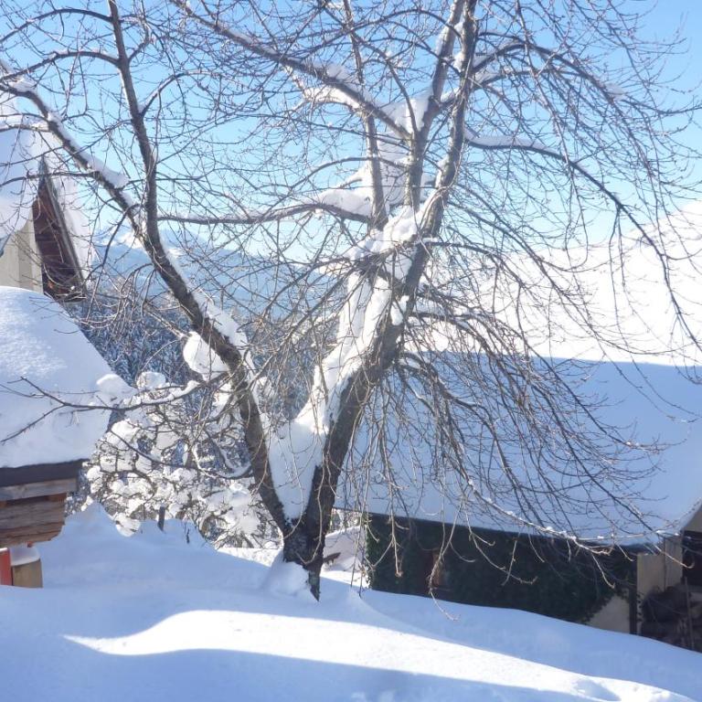Chalet D' Edmond - Chalet Supérieur - 13