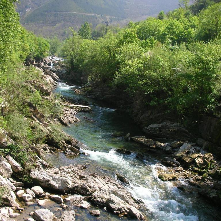 Ribera del Sella - Apartamento de 3 dormitorios con vistas a las montañas - 21