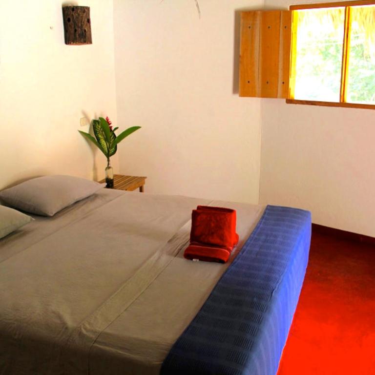 Finca Carpe Diem Ecolodge - Suite con cama extragrande - 5