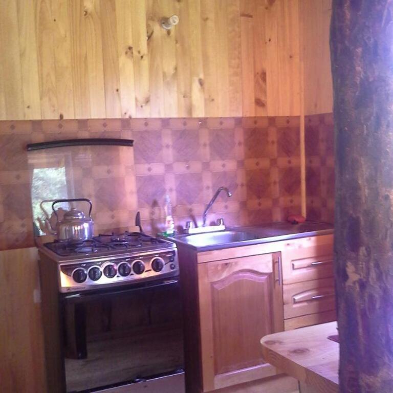 Cabañas piedra Alta, Huilo Huilo - Bungalow - 23