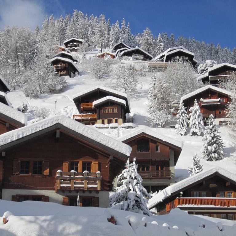 Chalet Etoile - Superior Chalet - 32