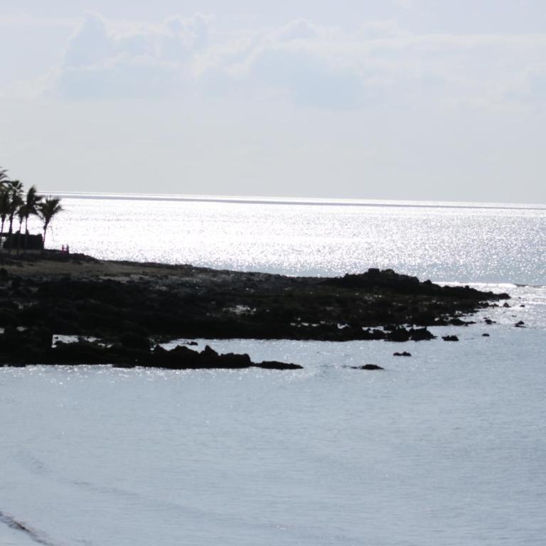 Atlantic Ocean View - Apartment with Sea View - 16