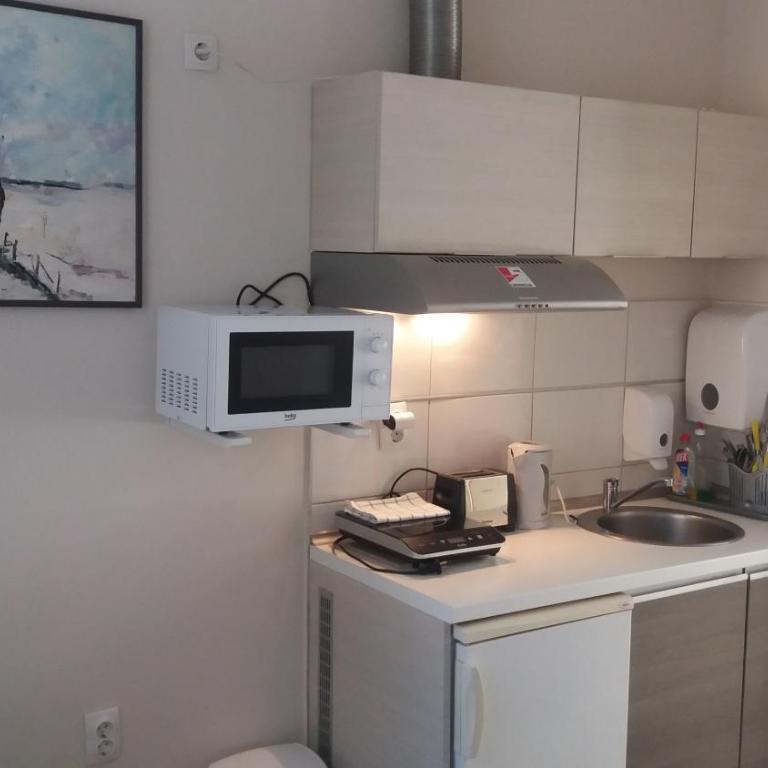 Apartments Sofija - Apartman sa Pogledom na Vrt - 10