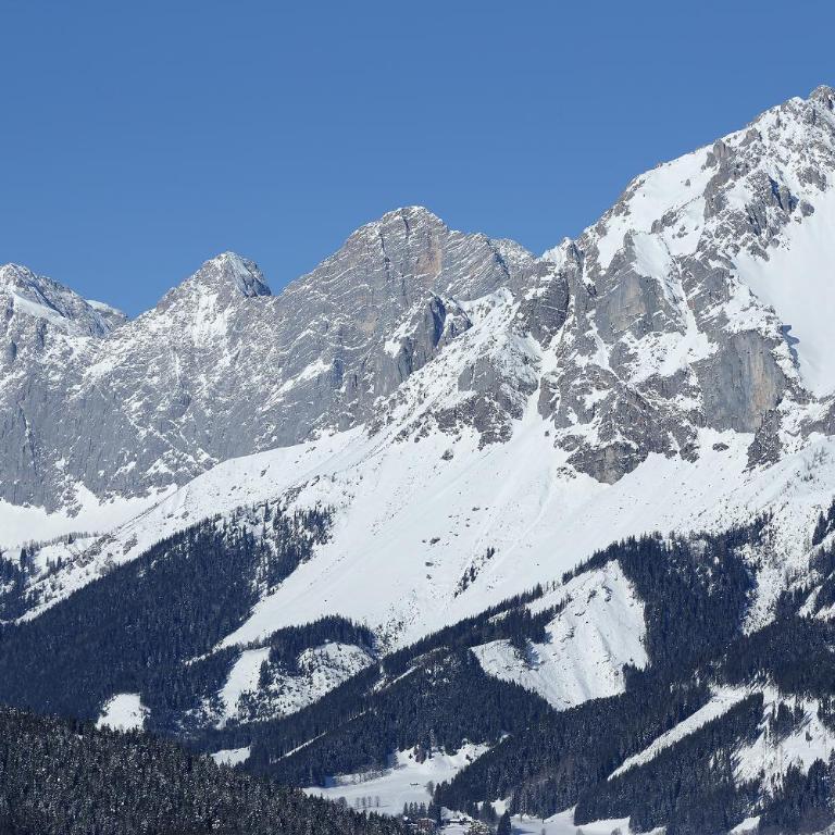 Chalet Alm Planai - Superior Chalet - 38