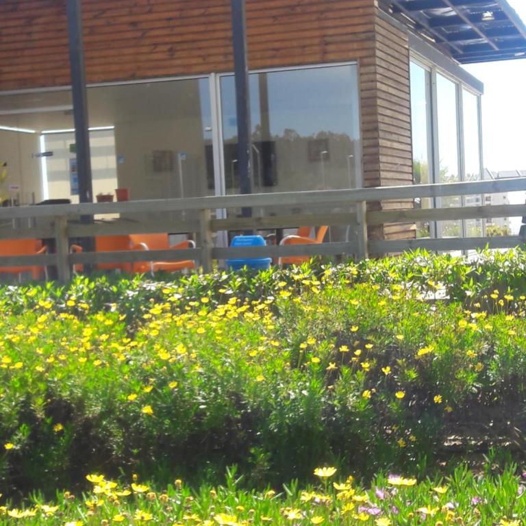 Laguna Bahía Algarrobo Valparaiso - Apartamento con terraza - 34