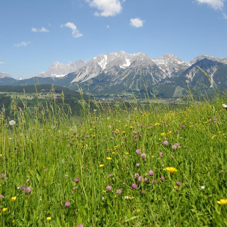 Chalet Alm Planai - Superior Chalet - 27