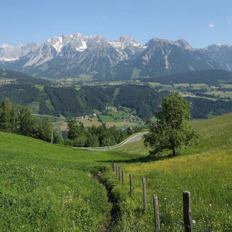 Chalet Alm Planai - Superior Chalet - 28