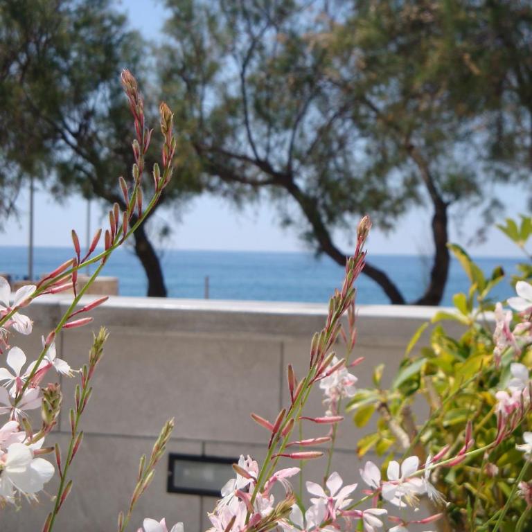 Deliziosa Villetta Mancaversa - Casa Vacanze - 19