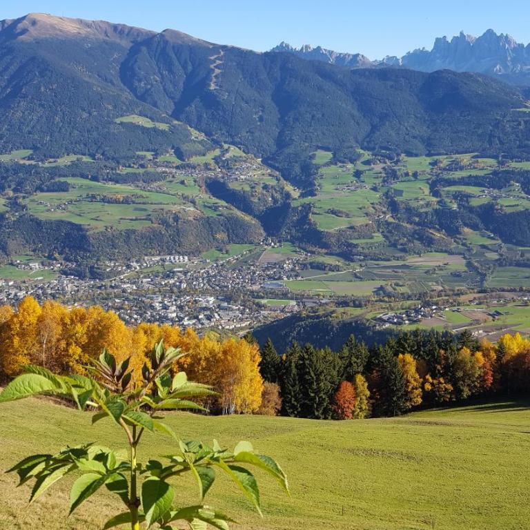 Masitterhof - Appartamento con Vista Montagna (6 Adulti) - 2