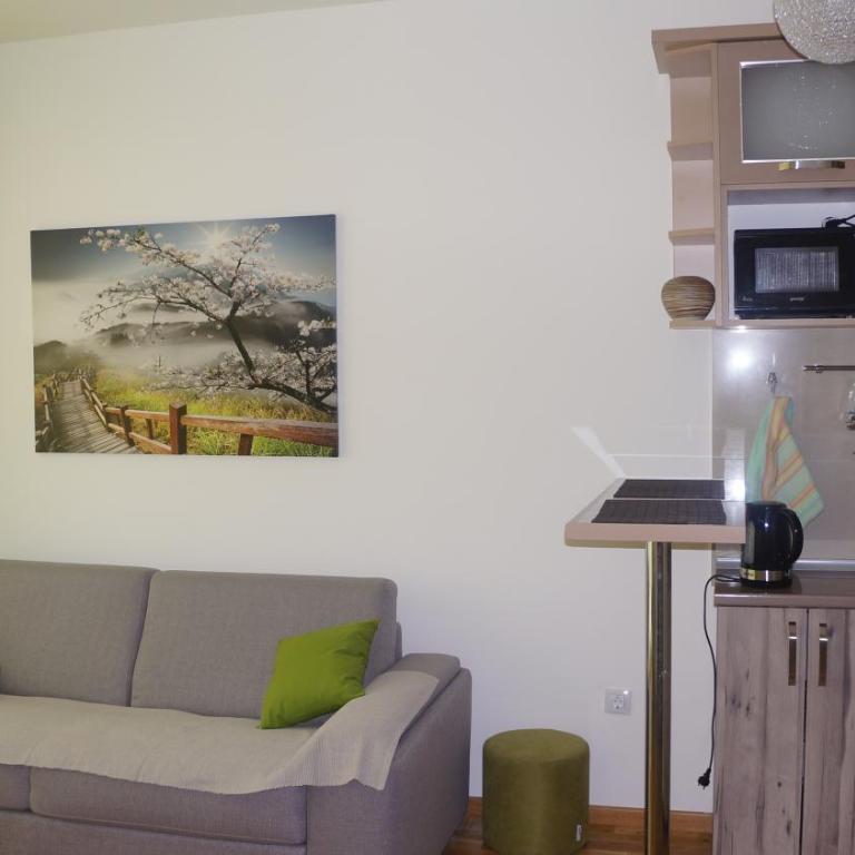 Apartments LORA Bokeljske brigade - Apartman sa 1 Spavaćom Sobom - 16