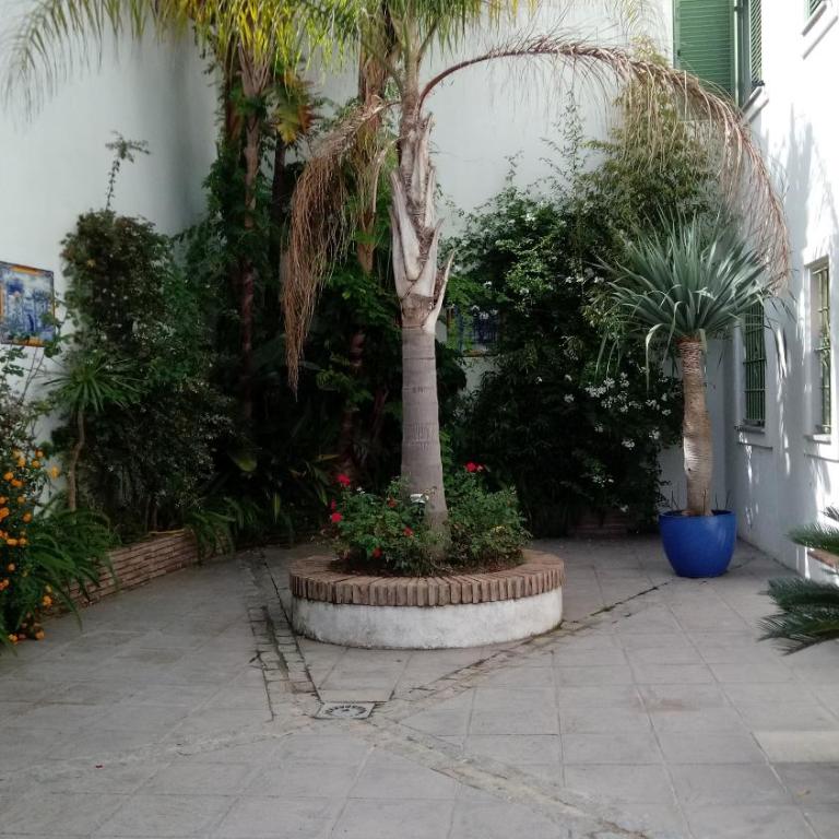 Gravina Comfort - Apartment - Ground Floor - 43