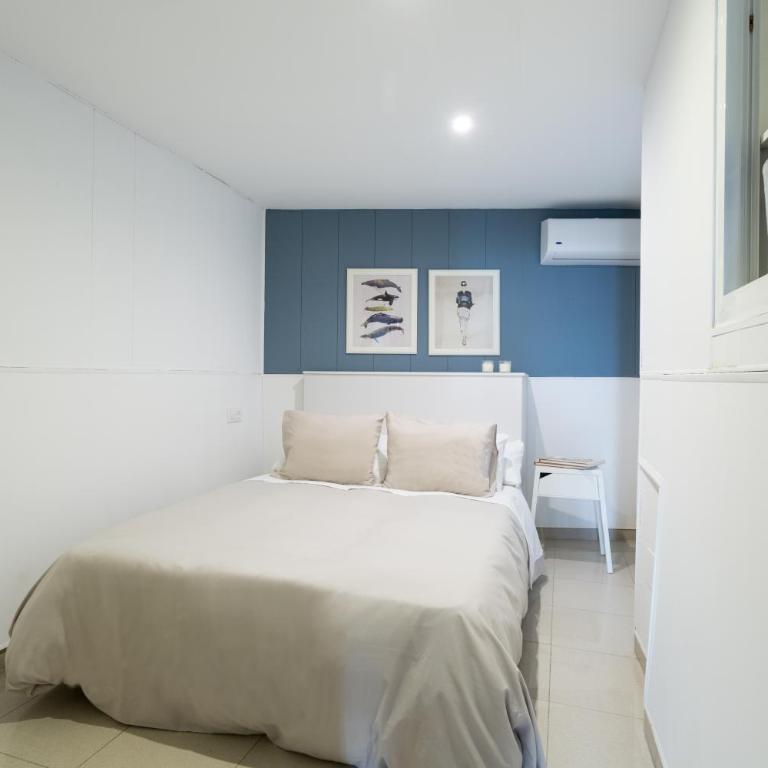 Apartamentos Diaber Gerona 22 - Apartamento Dúplex - 24