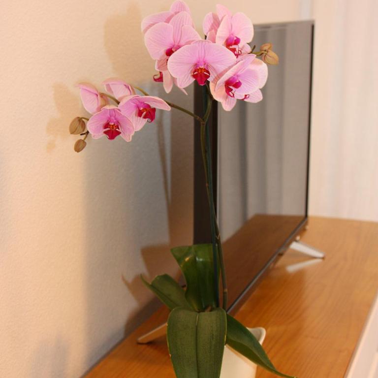 Beautiful Apartment In Apartamerica, Las Americas LA140 - Apartamento con vistas al mar - 8