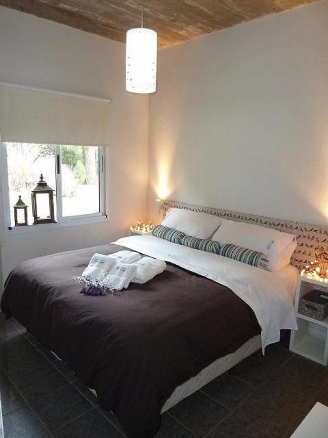 Aguamansa - One-Bedroom Bungalow - 5