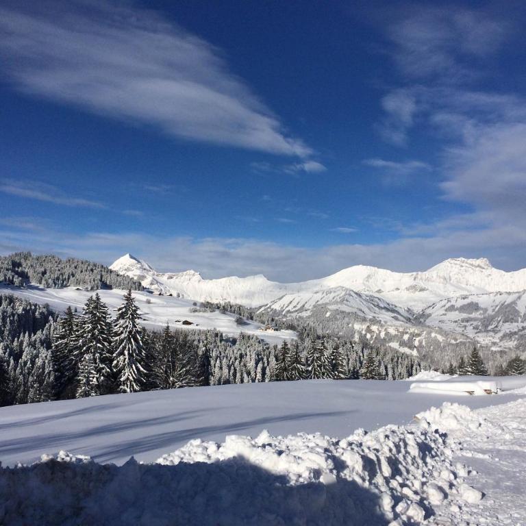 Hotel Le Tetras - Chambre Double - Vue sur Montagne - 3
