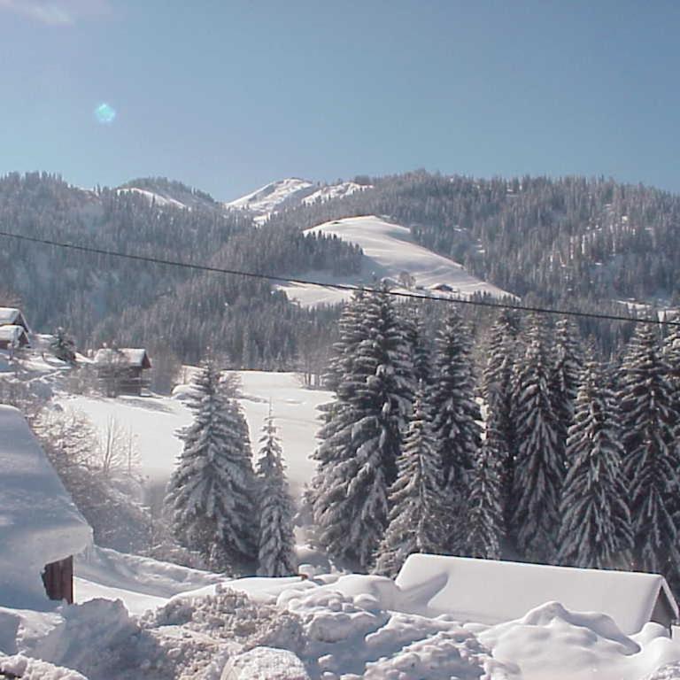Hotel Le Tetras - Chambre Lits Jumeaux - Vue sur Montagne - 3