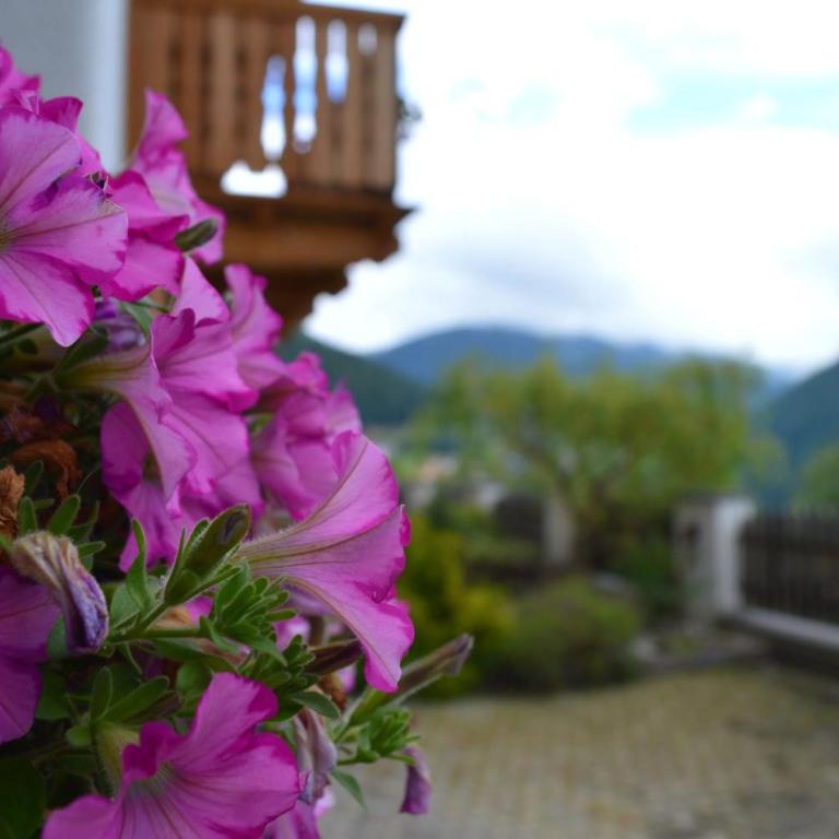Kellnerhof - Appartamento con Terrazza - 6