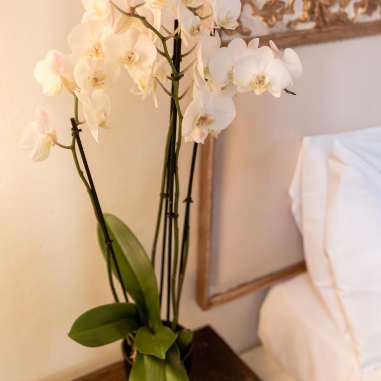Firenze Suite Art - Appartamento con 2 Camere da Letto - 23