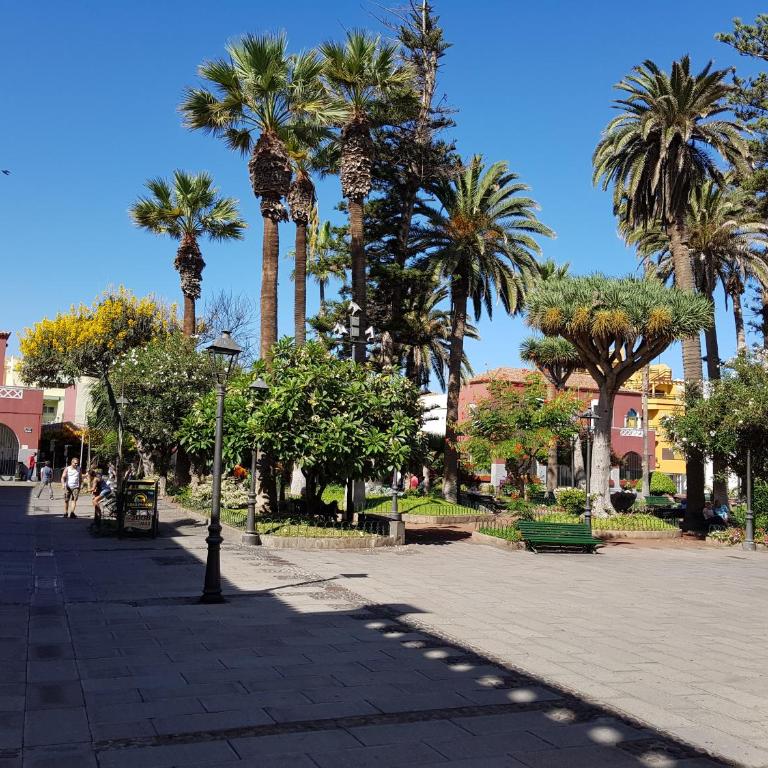 Summer Breeze - Apartamento de 1 dormitorio - 28
