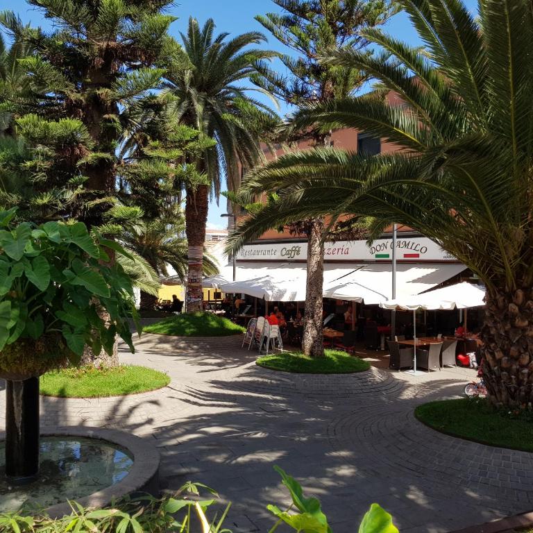 Summer Breeze - Apartamento de 1 dormitorio - 24