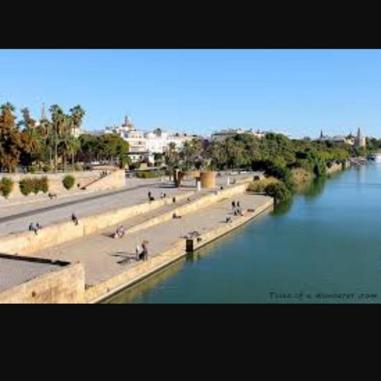 Sweet Triana - Apartamento - 2 niveles - 52