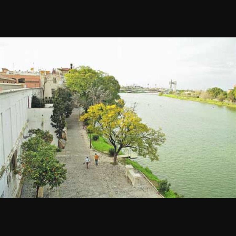 Sweet Triana - Apartamento - 2 niveles - 53