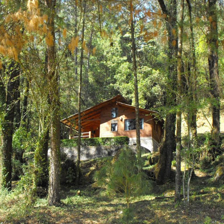 Cabañas Alpinas López Fontes - Chalet de 2 dormitorios - 3