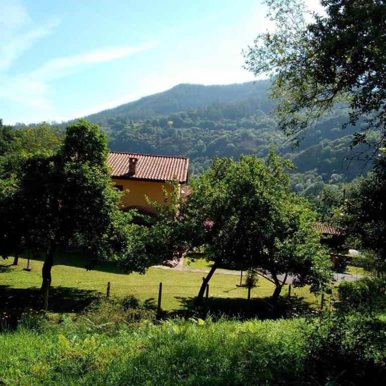 Ribera del Sella - Apartamento de 3 dormitorios con vistas a las montañas - 10
