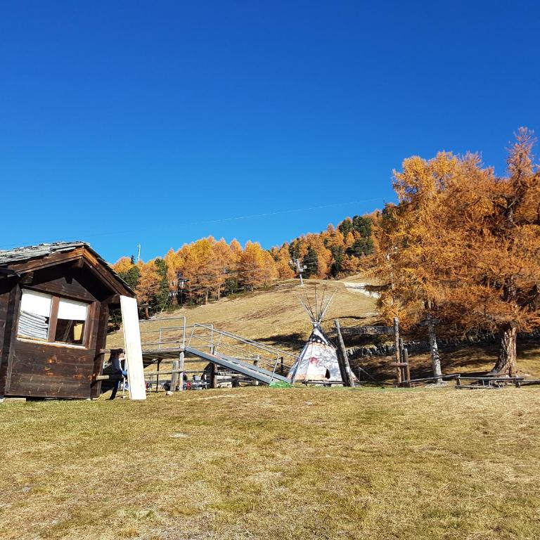 Chalet Schneevogul - Appartamento con 2 Camere da Letto - 24
