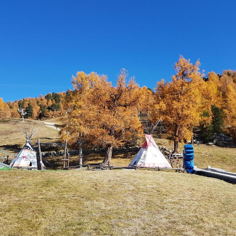 Chalet Schneevogul - Appartamento con 2 Camere da Letto - 25