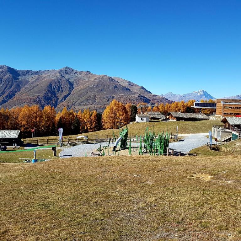 Chalet Schneevogul - Appartamento con 2 Camere da Letto - 26