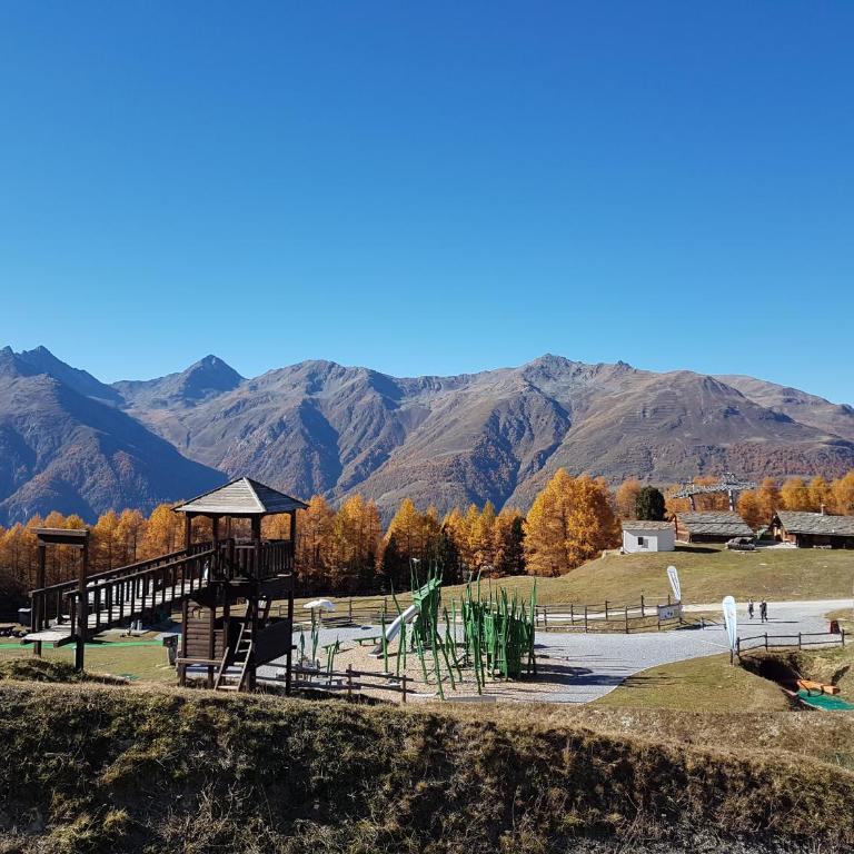 Chalet Schneevogul - Appartamento con 2 Camere da Letto - 27
