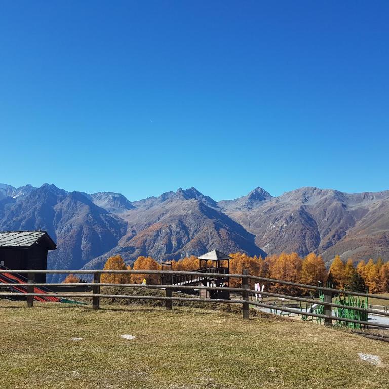 Chalet Schneevogul - Appartamento con 2 Camere da Letto - 28