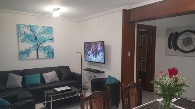 Apartment Fuente de Luz - Three-Bedroom Apartment - 4