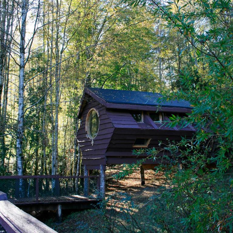 Huilo Huilo Canopy Village - Basic Bungalow with Private External Toilet (4 Adults) - 6