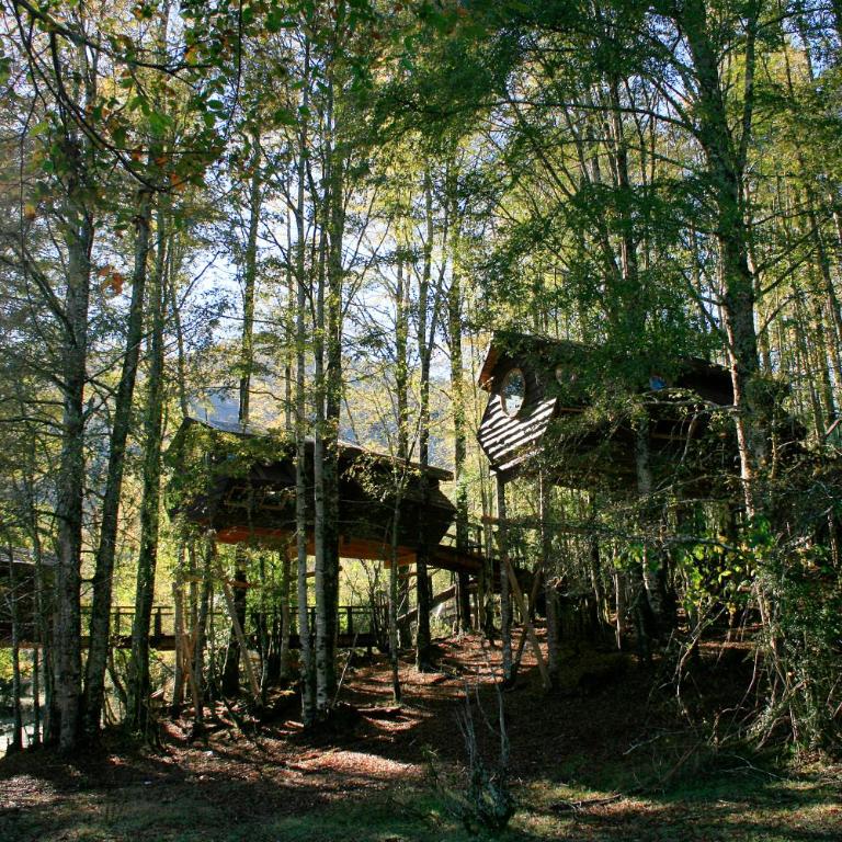 Huilo Huilo Canopy Village - Basic Bungalow with Private External Toilet (4 Adults) - 2