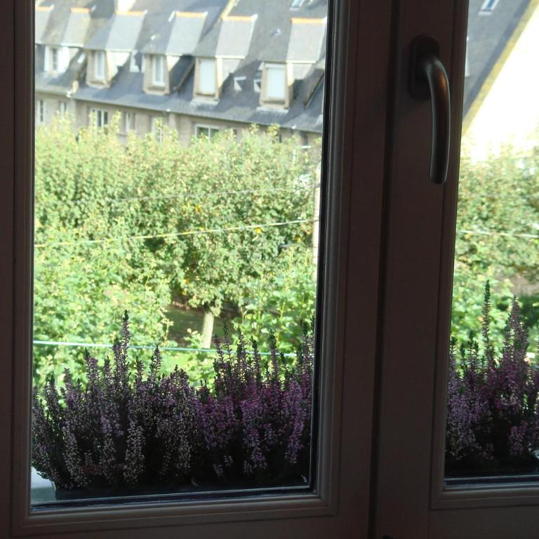 B&B Maison Angélus - Chambre Double Supérieure avec Cheminée - 15