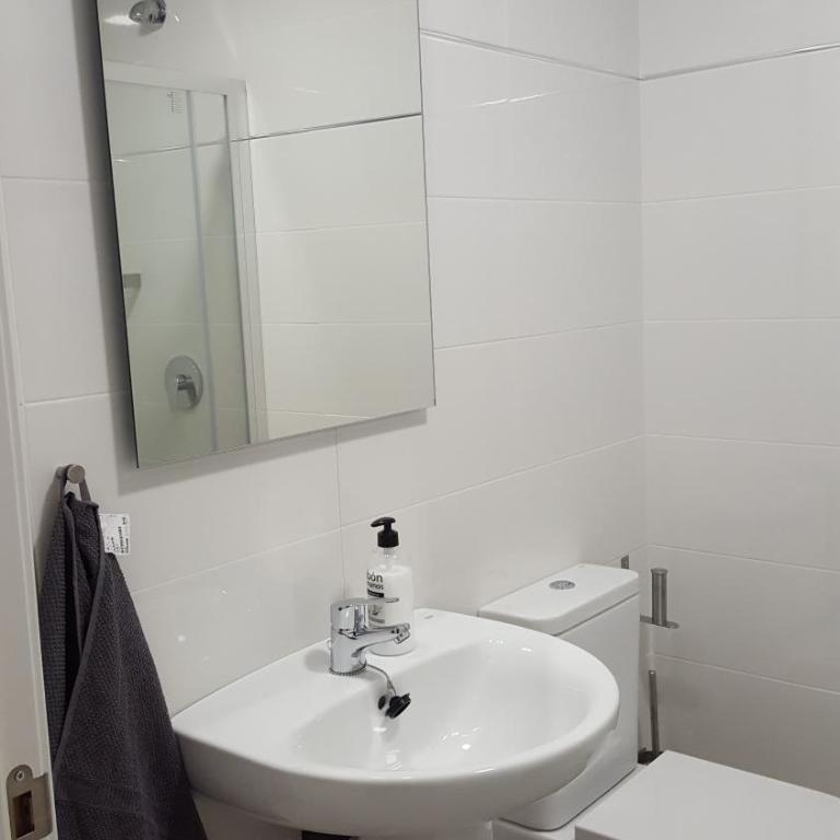 Apartamentos Logroño Centro - Apartamento de 3 dormitorios con 2 baños - 18