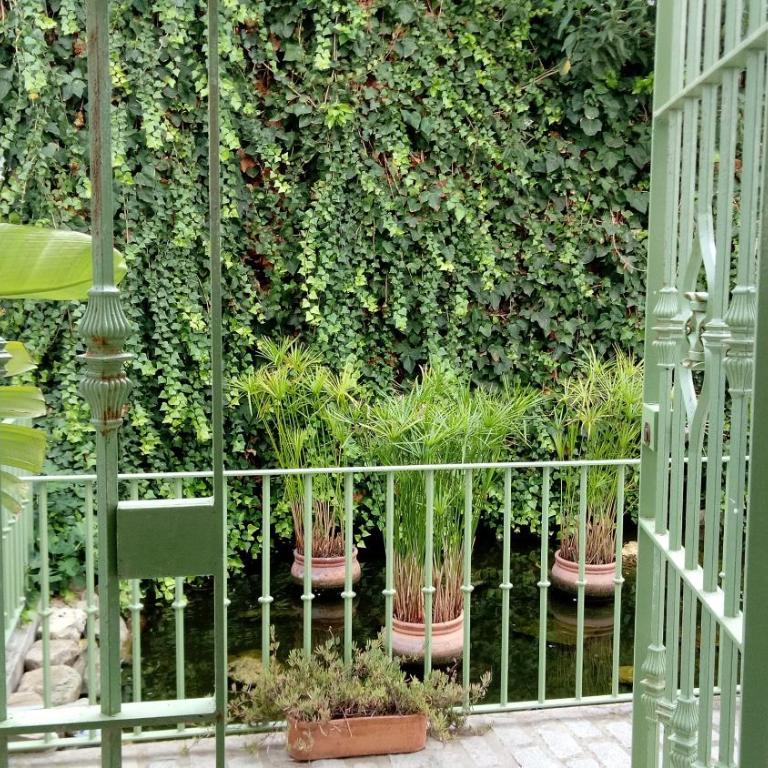 Gravina Comfort - Apartment - Ground Floor - 3