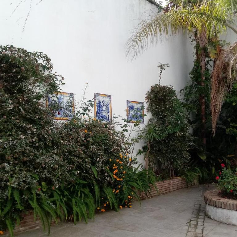 Gravina Comfort - Apartment - Ground Floor - 31