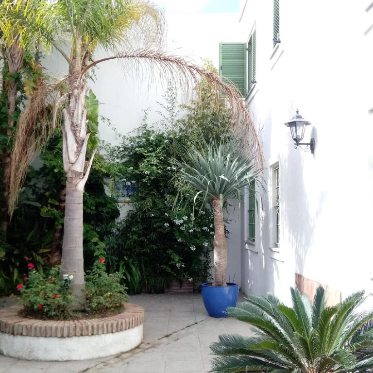 Gravina Comfort - Apartment - Ground Floor - 32