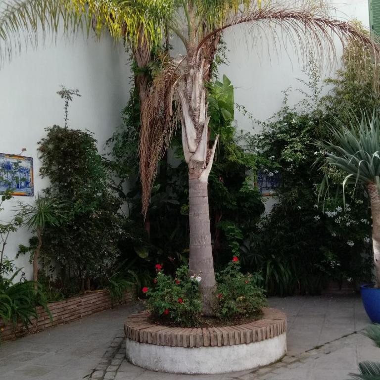 Gravina Comfort - Apartment - Ground Floor - 33