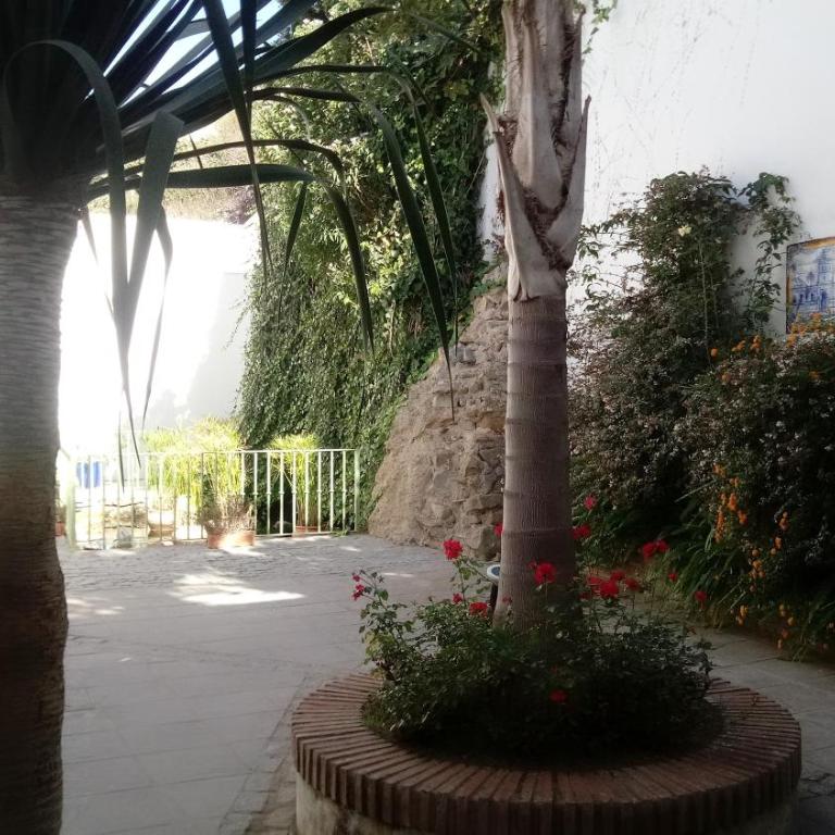 Gravina Comfort - Apartment - Ground Floor - 36