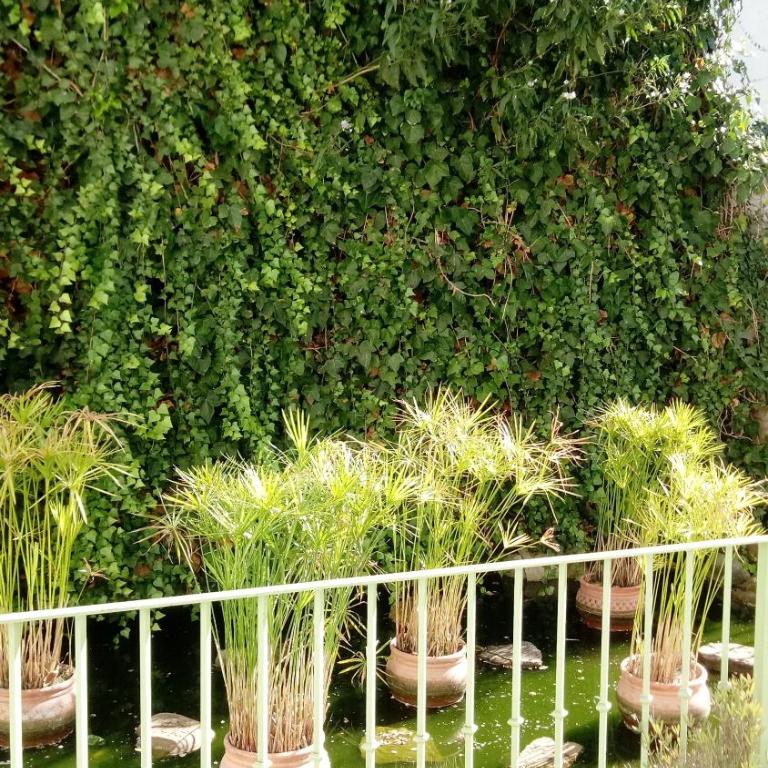 Gravina Comfort - Apartment - Ground Floor - 39