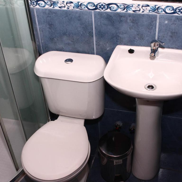 Hostal el Nogal Pucón - Habitación Familiar (3 adultos) con baño privado - 6